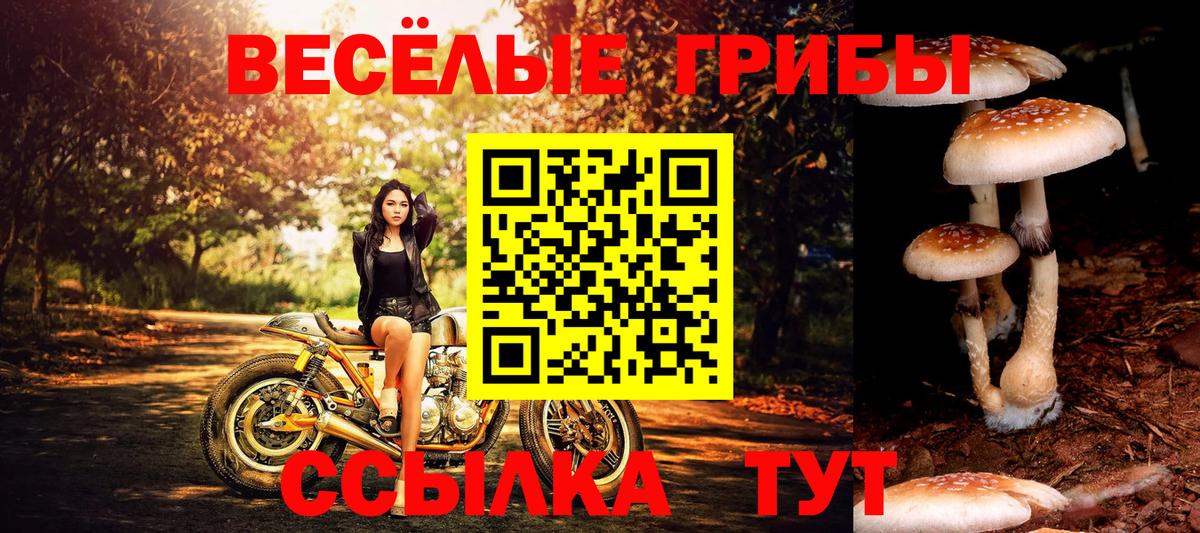 МДМА  Гашиш  Cocaine  Мефедрон   Йошкар-Ола  Бошки Шишки  A-PVP СОЛЬ   Вход с VPN 