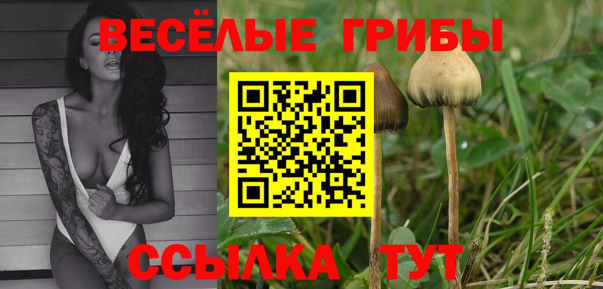 Галлюциногенные грибы Magic Shrooms Йошкар-Ола