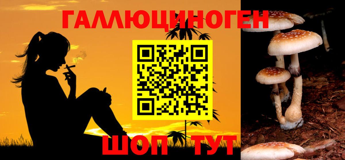 наркотики  Псилоцибиновые грибы прущие грибы  Вход с VPN  Йошкар-Ола 
